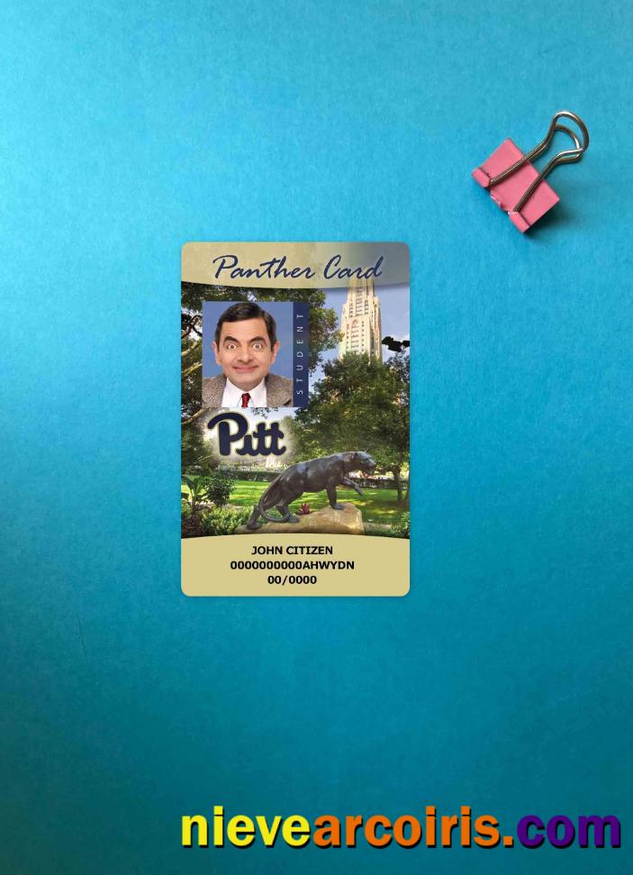 USA The University of Pittsburgh Student ID card, Panther card photolook